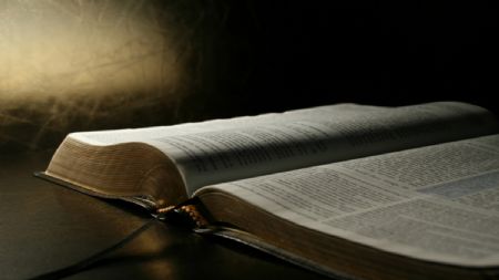 Unexpected News (Luke 2:8-20)