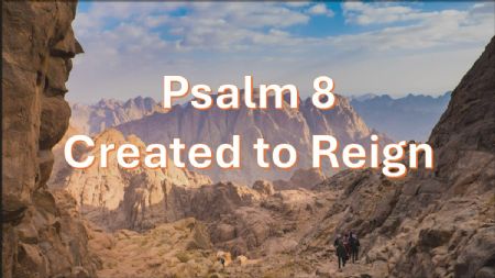 Created to Reign (Psalm 8)